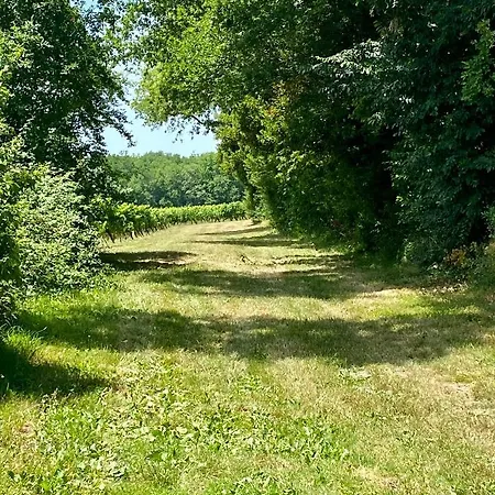 Le Petit Cinq Ruffe *