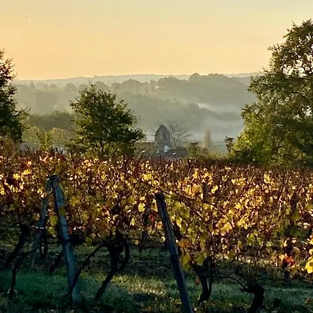 Le Petit Cinq Ruffe Сasa de vacaciones Listrac-de-Dureze
