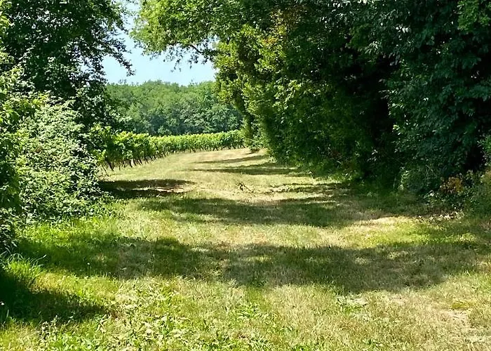 Le Petit Cinq Ruffe *