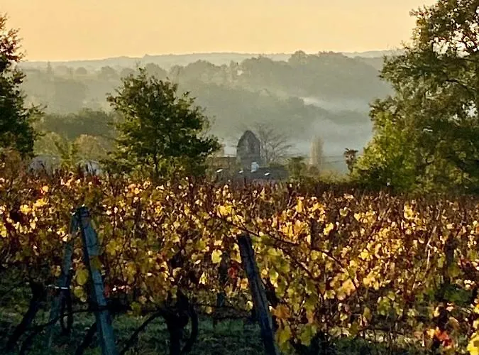 Le Petit Cinq Ruffe Dom wakacyjny Listrac-de-Dureze